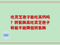 吃灵芝孢子能吃高钙吗？转氨酶高吃灵芝孢子粉能不能降低转氨酶
