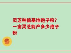 灵芝种植基地孢子粉？一亩灵芝能产多少孢子粉