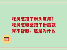 吃灵芝孢子粉头皮疼？吃灵芝破壁孢子粉后就胃不舒服，这是为什么
