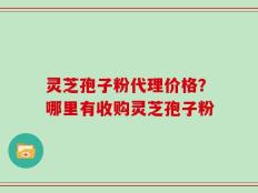 灵芝孢子粉代理价格？哪里有收购灵芝孢子粉