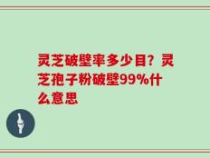 灵芝破壁率多少目？灵芝孢子粉破壁99%什么意思