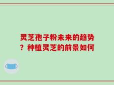 灵芝孢子粉未来的趋势？种植灵芝的前景如何