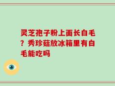 灵芝孢子粉上面长白毛？秀珍菇放冰箱里有白毛能吃吗