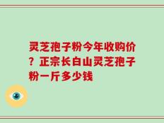 灵芝孢子粉今年收购价？正宗长白山灵芝孢子粉一斤多少钱