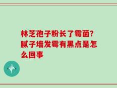 林芝孢子粉长了霉菌？腻子墙发霉有黑点是怎么回事