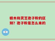 椴木和灵芝孢子粉的区别？孢子粉是怎么来的