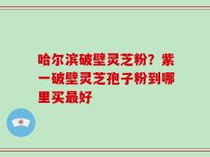 哈尔滨破壁灵芝粉？紫一破壁灵芝孢子粉到哪里买最好