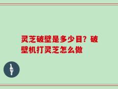 灵芝破壁是多少目？破壁机打灵芝怎么做