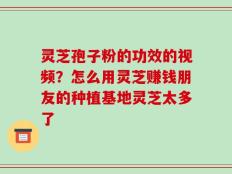 灵芝孢子粉的功效的视频？怎么用灵芝赚钱朋友的种植基地灵芝太多了