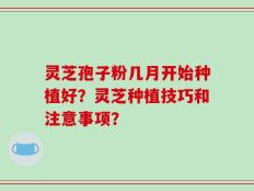 灵芝孢子粉几月开始种植好？灵芝种植技巧和注意事项？