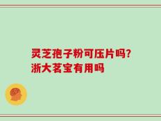 灵芝孢子粉可压片吗？浙大茗宝有用吗