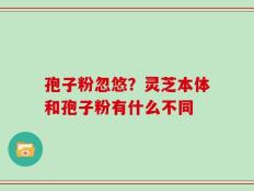 孢子粉忽悠？灵芝本体和孢子粉有什么不同