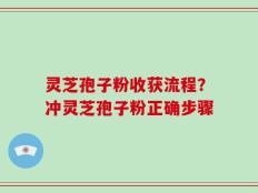 灵芝孢子粉收获流程？冲灵芝孢子粉正确步骤