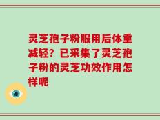 灵芝孢子粉服用后体重减轻？已采集了灵芝孢子粉的灵芝功效作用怎样呢