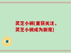 灵芝小碗(重获关注，灵芝小碗成为新宠)