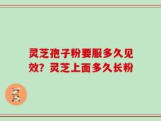 灵芝孢子粉要服多久见效？灵芝上面多久长粉