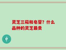 灵芝三萜和皂苷？什么品种的灵芝最贵