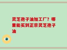 灵芝孢子油加工厂？哪里能买到正宗灵芝孢子油