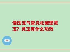 慢性支气管炎吃破壁灵芝？灵芝有什么功效