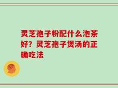 灵芝孢子粉配什么泡茶好？灵芝孢子煲汤的正确吃法