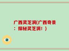 广西灵芝洞(广西奇景：探秘灵芝洞！)