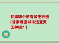 甘肃哪个市有灵芝种植(甘肃哪座城市适宜灵芝种植？)