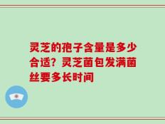 灵芝的孢子含量是多少合适？灵芝菌包发满菌丝要多长时间