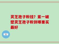 灵芝孢子粉挂？紫一破壁灵芝孢子粉到哪里买最好