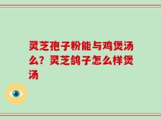 灵芝孢子粉能与鸡煲汤么？灵芝鸽子怎么样煲汤