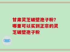 甘肃灵芝破壁孢子粉？哪里可以买到正宗的灵芝破壁孢子粉