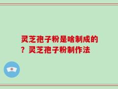 灵芝孢子粉是啥制成的？灵芝孢子粉制作法