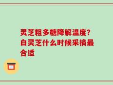 灵芝粗多糖降解温度？白灵芝什么时候采摘最合适