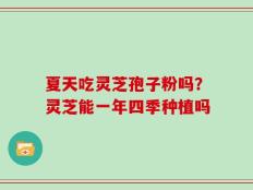 夏天吃灵芝孢子粉吗？灵芝能一年四季种植吗
