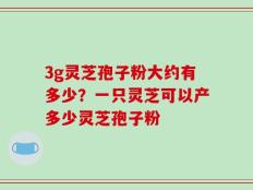 3g灵芝孢子粉大约有多少？一只灵芝可以产多少灵芝孢子粉