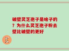 破壁灵芝孢子是啥子的？为什么灵芝孢子粉去壁比破壁的更好