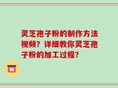 灵芝孢子粉的制作方法视频？详细教你灵芝孢子粉的加工过程？