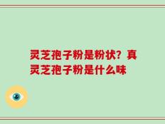 灵芝孢子粉是粉状？真灵芝孢子粉是什么味