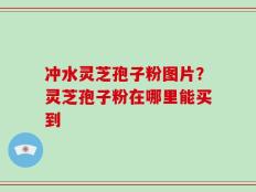 冲水灵芝孢子粉图片？灵芝孢子粉在哪里能买到
