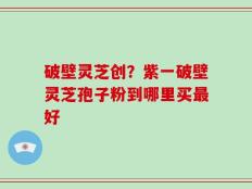 破壁灵芝创？紫一破壁灵芝孢子粉到哪里买最好