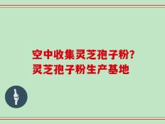 空中收集灵芝孢子粉？灵芝孢子粉生产基地