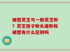 破壁灵芝与一般灵芝粉？灵芝孢子粉头道粉和破壁有什么区别吗
