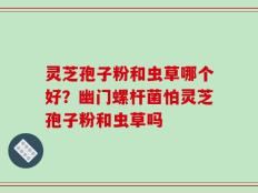灵芝孢子粉和虫草哪个好？幽门螺杆菌怕灵芝孢子粉和虫草吗