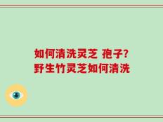 如何清洗灵芝 孢子？野生竹灵芝如何清洗