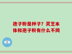 孢子粉是种子？灵芝本体和孢子粉有什么不同