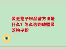 灵芝孢子粉品鉴方法是什么？怎么选购破壁灵芝袍子粉