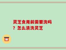 灵芝食用前需要洗吗 ？怎么清洗灵芝
