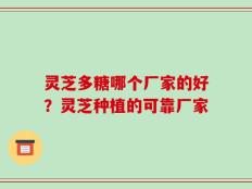 灵芝多糖哪个厂家的好？灵芝种植的可靠厂家