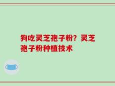 狗吃灵芝孢子粉？灵芝孢子粉种植技术
