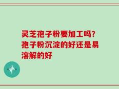 灵芝孢子粉要加工吗？孢子粉沉淀的好还是易溶解的好