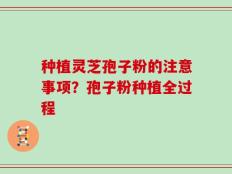 种植灵芝孢子粉的注意事项？孢子粉种植全过程